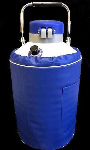 Armazenamento de sêmen bovino para inseminação Armazenamento de sêmen bovino para inseminação