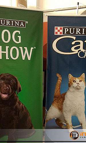 Confecção Banner em Lona SP Confecção Banner em Lona SP