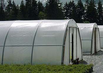 Lona para estufa Lona para estufa