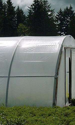 lona para estufa lona para estufa