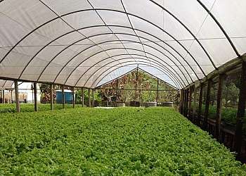 Lonas agrícolas Lonas agrícolas